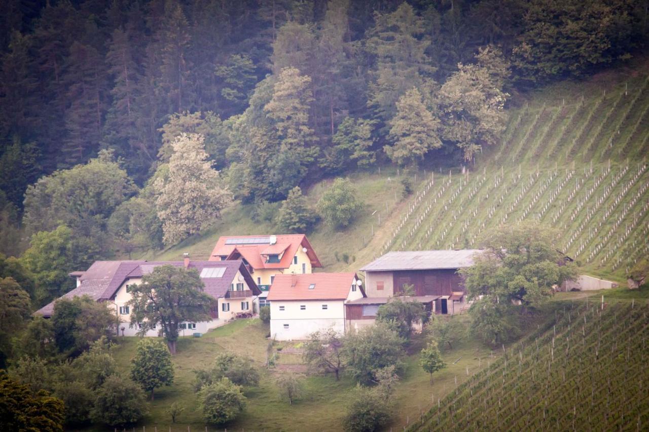 Apartamento Weinbau Pronegg Vlg. Krainz Leutschach Exterior foto